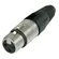 Plug XLR Fêmea Neutrik NC3FX