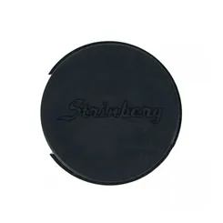 No Feedback Strinberg AR-2F Folk