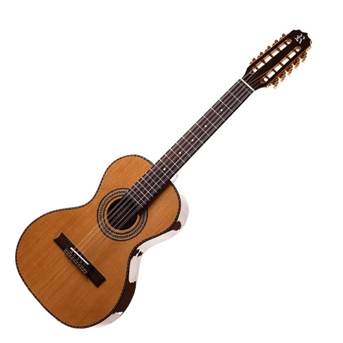 Viola 10 Cordas Elétrica Rozini RV215AT.N-LP Cinturada Presença Brasil