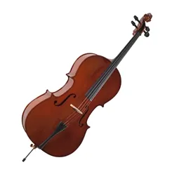 Violoncello 3/4 Allan AL-1210 3/4