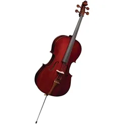 Violoncello 4/4 Eagle CE-200