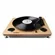 Toca Discos e Digitalizador Ion Archive LP