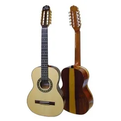 Viola 10 Cordas Elétrica Rozini RV161ATN Nestor