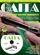 Método para Gaita Gaita Especial Volume 1 Nível Iniciante com DVD