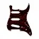 Escudo para Guitarra Dolphin Tortoise Shell 3S